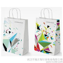 精美彩印紙袋的市場概覽 價(jià)格、批發(fā)與廠家選擇